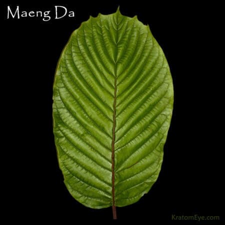 Maeng Da Pimp Grade Kratom