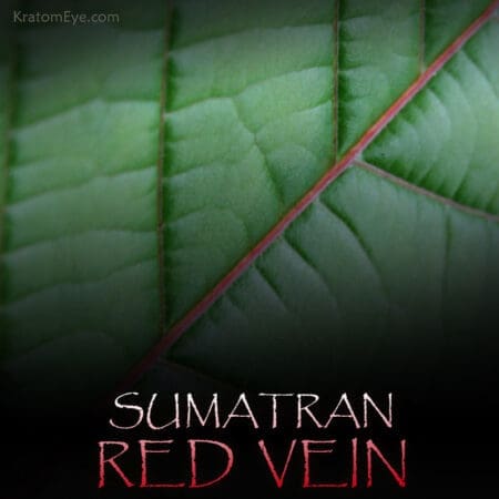 Sumatra Red Vein Kratom