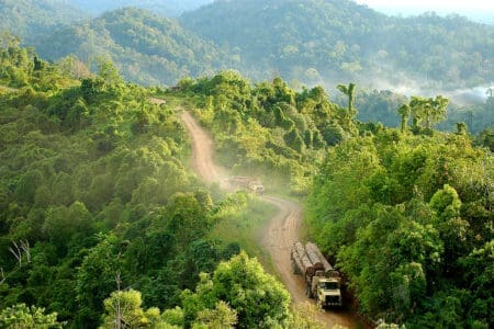 Kalimantan Maeng Da Kratom