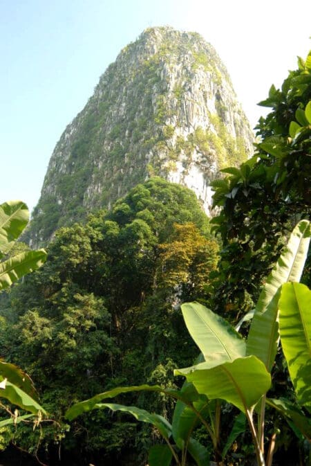 Kalimantan Maeng Da Kratom