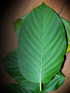 Walter White Vein Kratom Blend