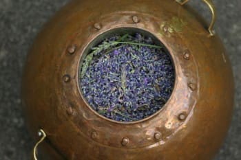still-for-aromas