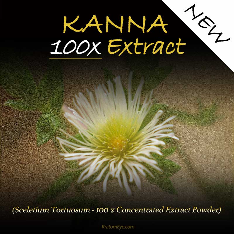 Kanna 100x Extract - Highly Concentrated - Sceletium Tortuosum - Highest Grade Natural Extraction Powder