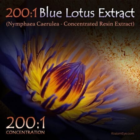 200:1 Blue Lotus Extract (Super Concentrated) - Nymphaea Caerulea - Kratom Substitutes