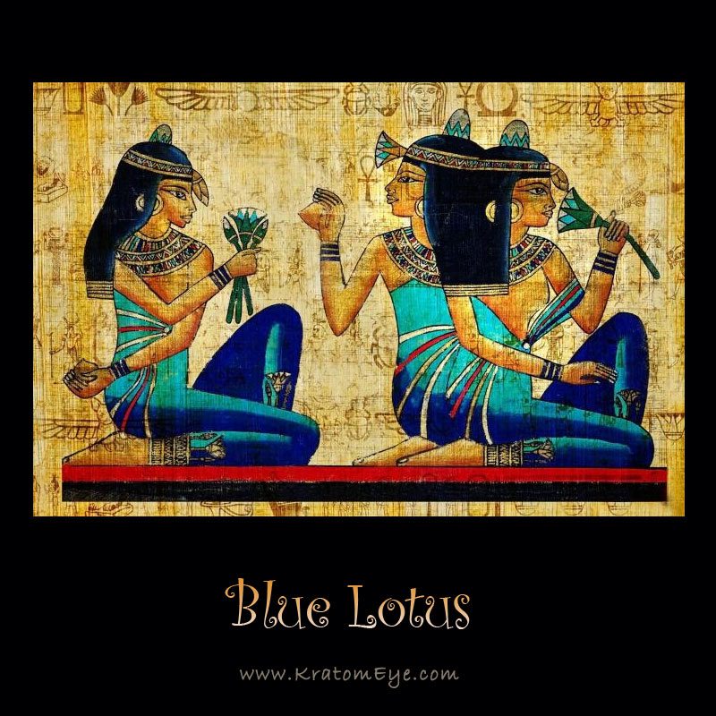 Blue Lotus Flower Extract