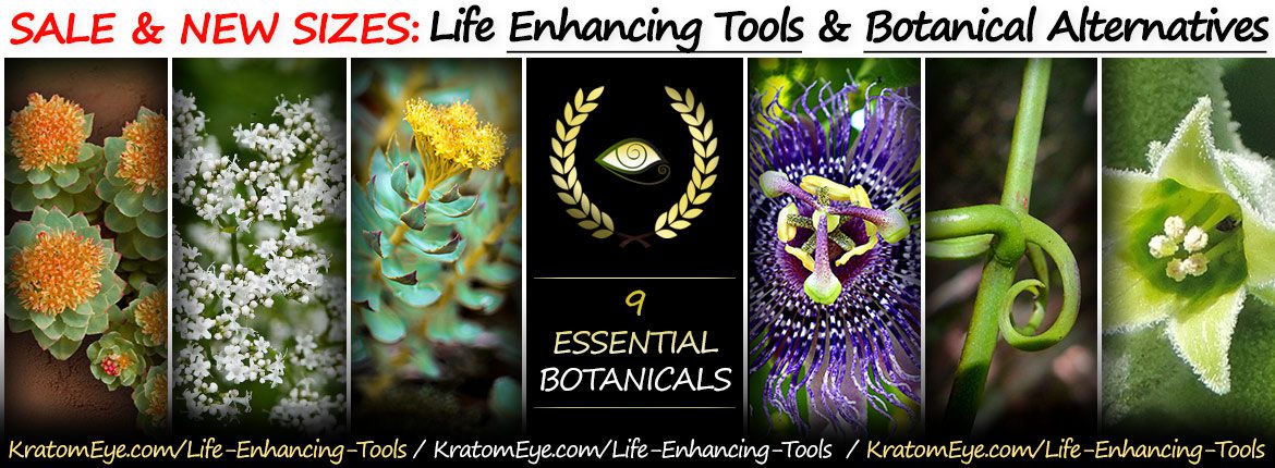 9 Essential Botanicals for Enhancing the Essences...