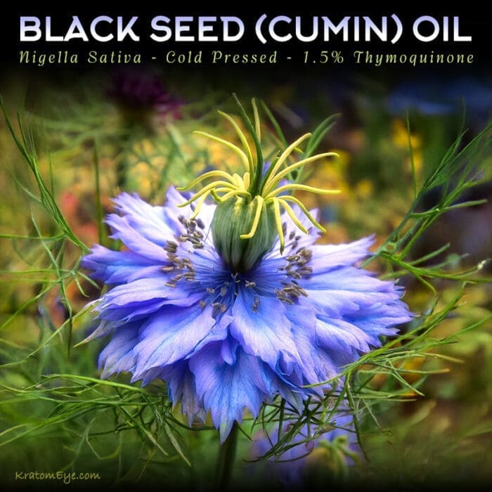 Black Seed Oil - Cumin Seed | Nigella Sativa | Enhancing Herb | Immunity Booster