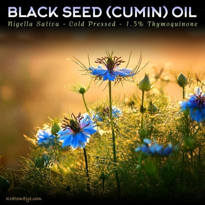 Black Seed Oil Capsules | Nigella Sativa | Enhancer | Immunity Support