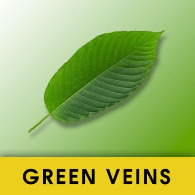 Green Vein Kratom Strains