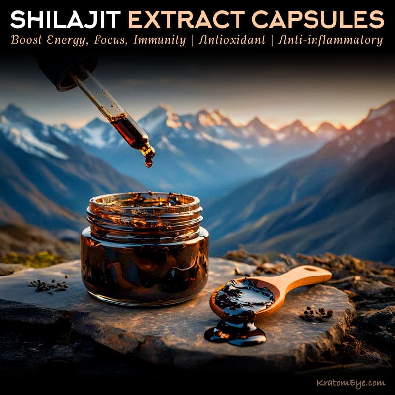 SHILAJIT EXTRACT CAPSULES - Boost Energy, Focus, Immunity I Antioxidant, Anti-Inflammatory