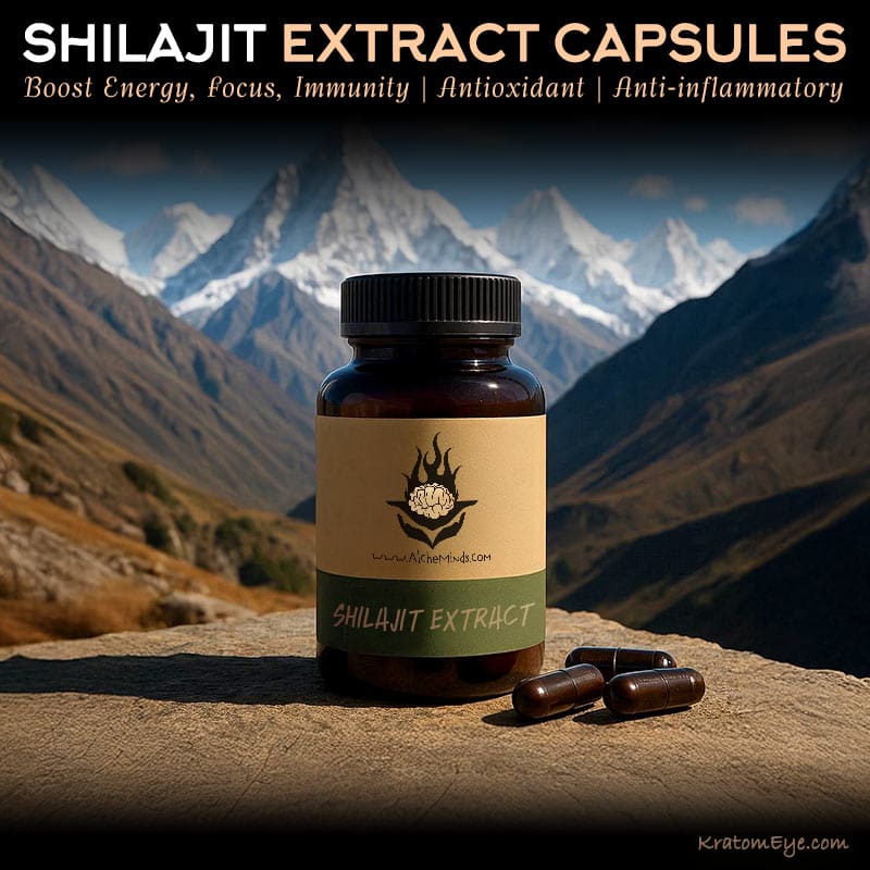 SHILAJIT EXTRACT CAPSULES - Boost Energy, Focus, Immunity I Antioxidant, Anti-Inflammatory