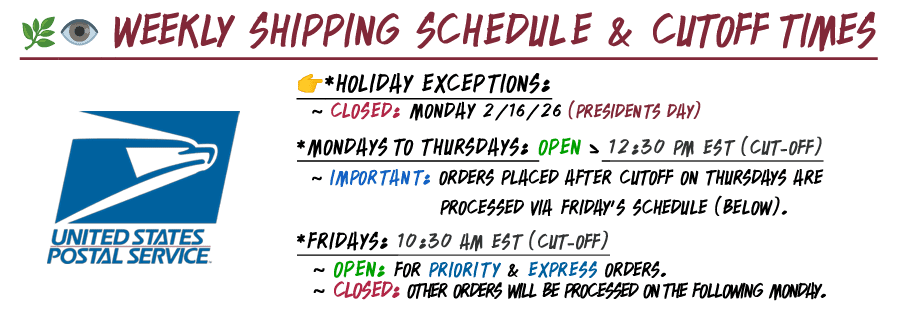 Weekly Schedule - Presidents Day