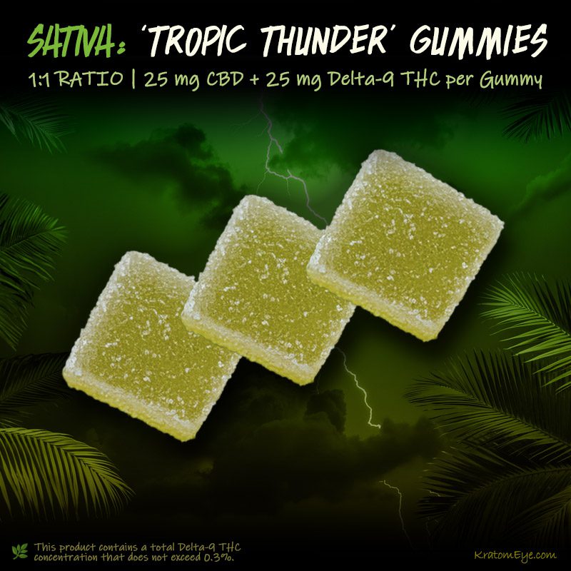 Tropic Thunder Gummies (Sativa) | 1:1 Ratio - 25 mg CBD + 25 mg Delta-9 THC