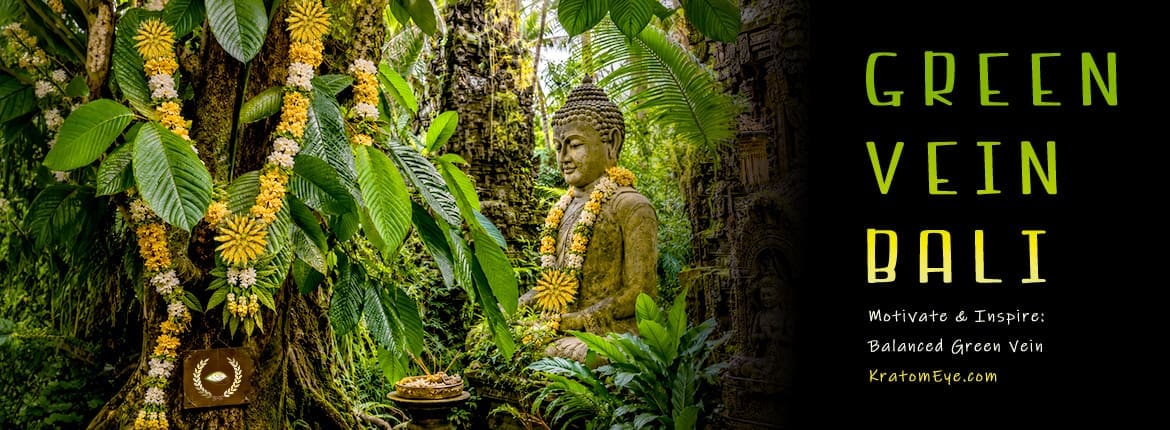 Green Vein Bali Kratom, Best, Highest Quality Green Vein Bali Kratom, Best, Highest Quality