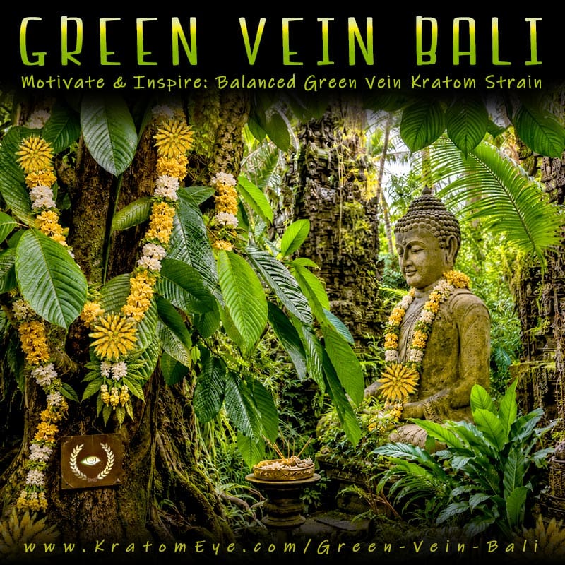 Exclusive Green Vein Bali Kratom, Best, Highest Quality